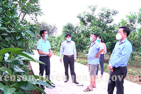 Đồng chí Phó Chủ tịch UBND huyện kiểm tra tiến độ xây dựng bê tông nông thôn tại xã Trung Trực, Xuân Vân