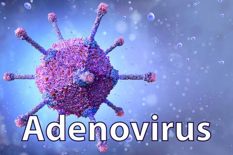 Phòng và điều trị khi nhiễm Adenovirus như thế nào?