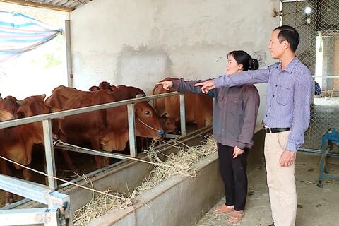 Huyện Yên Sơn giảm nghèo bền vững