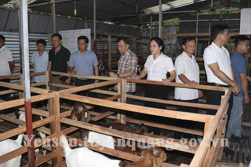 Đoàn công tác huyện Yên Sơn học tập kinh nghiệm về công tác giảm nghèo tại tỉnh Hà Tĩnh